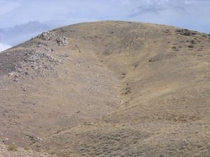 276 to 6,740 ppb Au in soils over 100 meters on right side of gully.  Massive quartz rib caps ridge on left.  Facing E'ly.